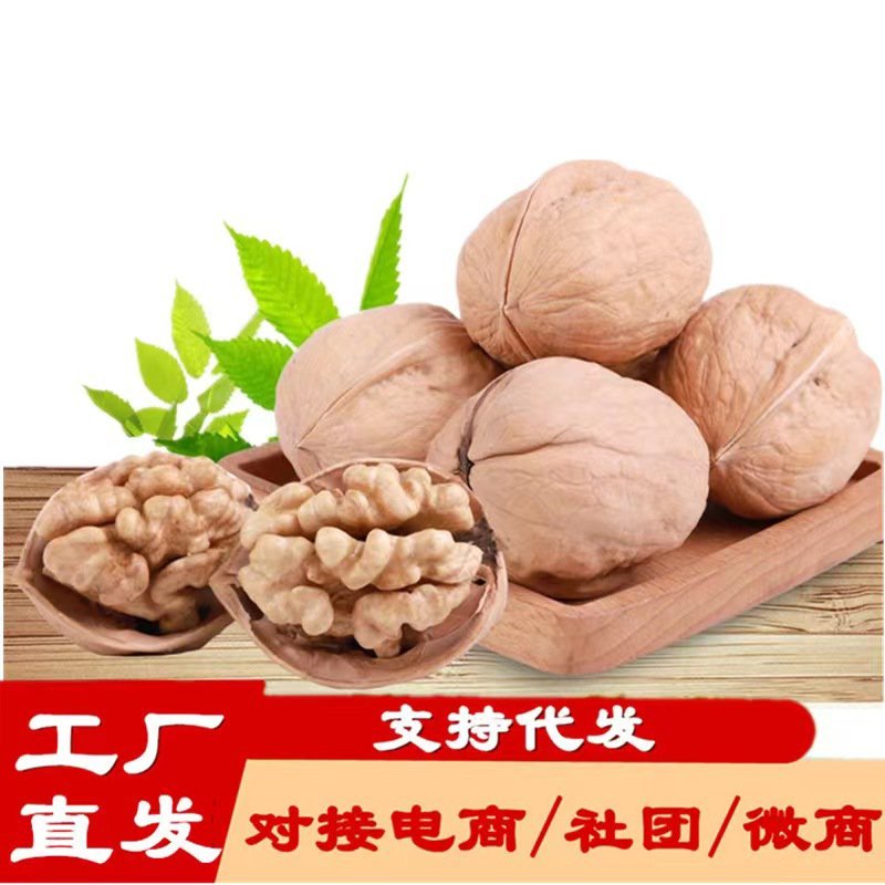 新货新疆薄皮核桃对应抖音快手美团大卖可做包装一件代发