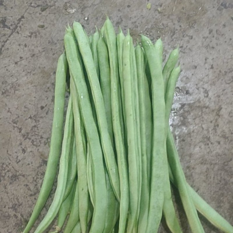 小金豆
