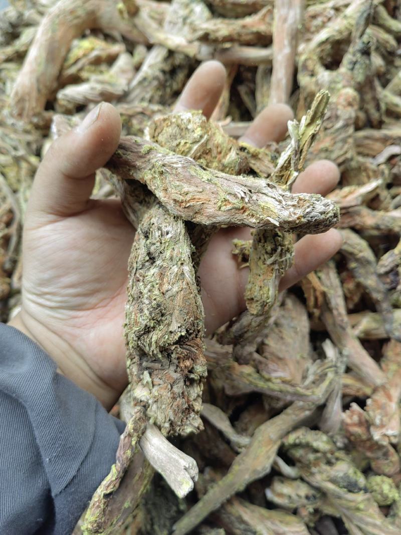 去皮红景天枯蕊
