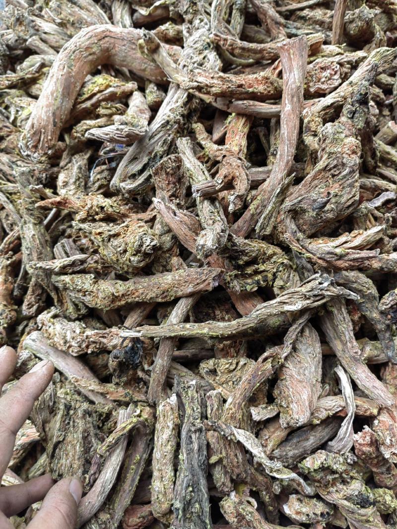 去皮红景天枯蕊