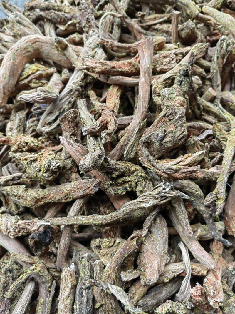 去皮红景天枯蕊