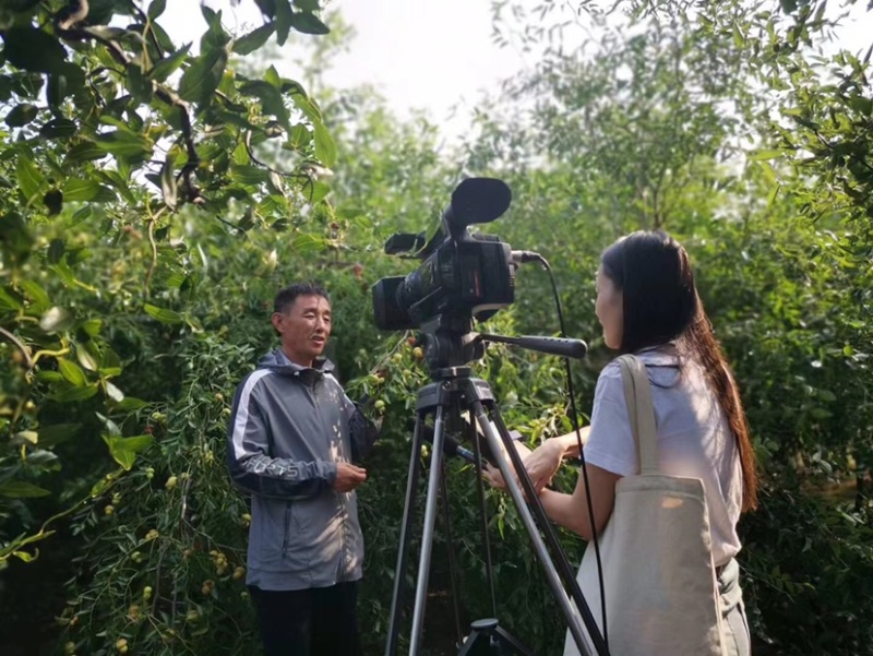 葫芦（福禄）枣，寓意美好。精品果，外形美观，口感脆甜