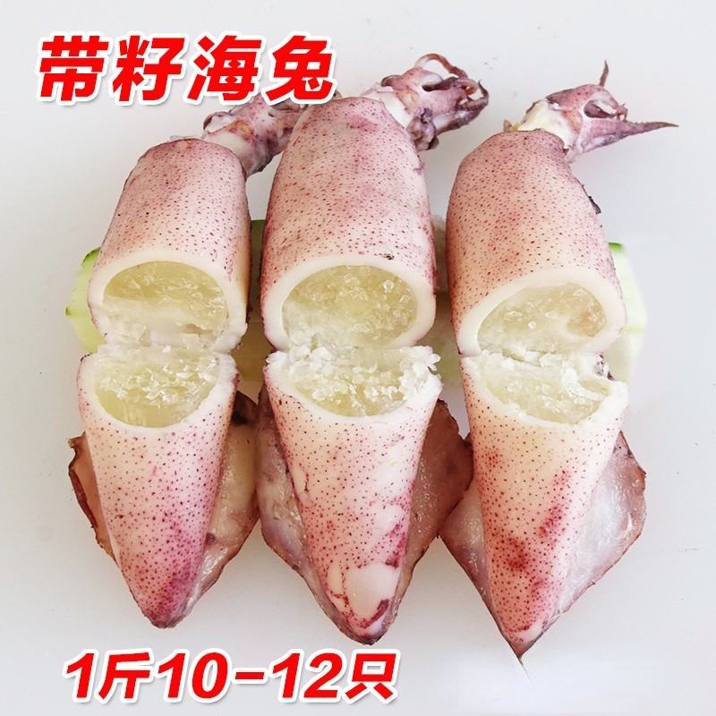 鲜活冷冻大海兔笔管鱼籽乌鱿鱼仔海捕小鱿鱼墨鱼烧烤食材