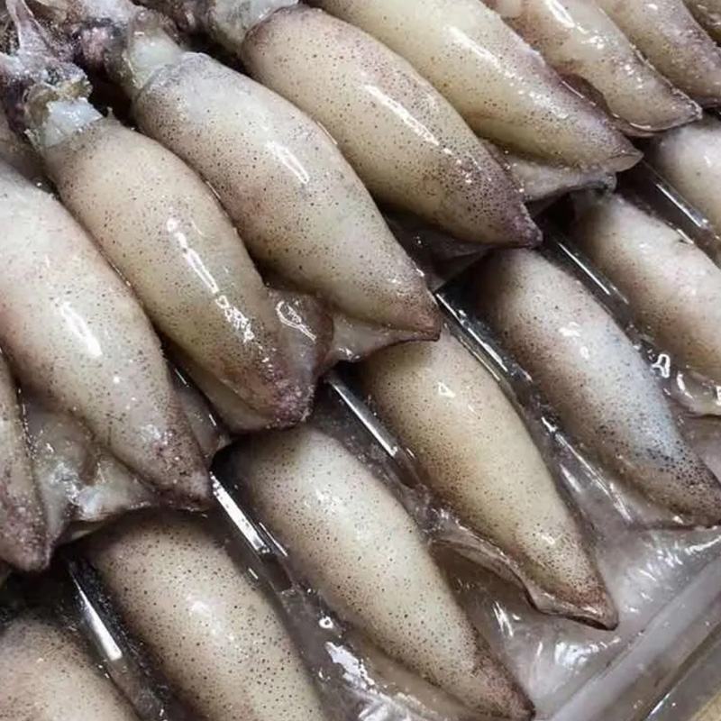 鲜活冷冻大海兔笔管鱼籽乌鱿鱼仔海捕小鱿鱼墨鱼烧烤食材