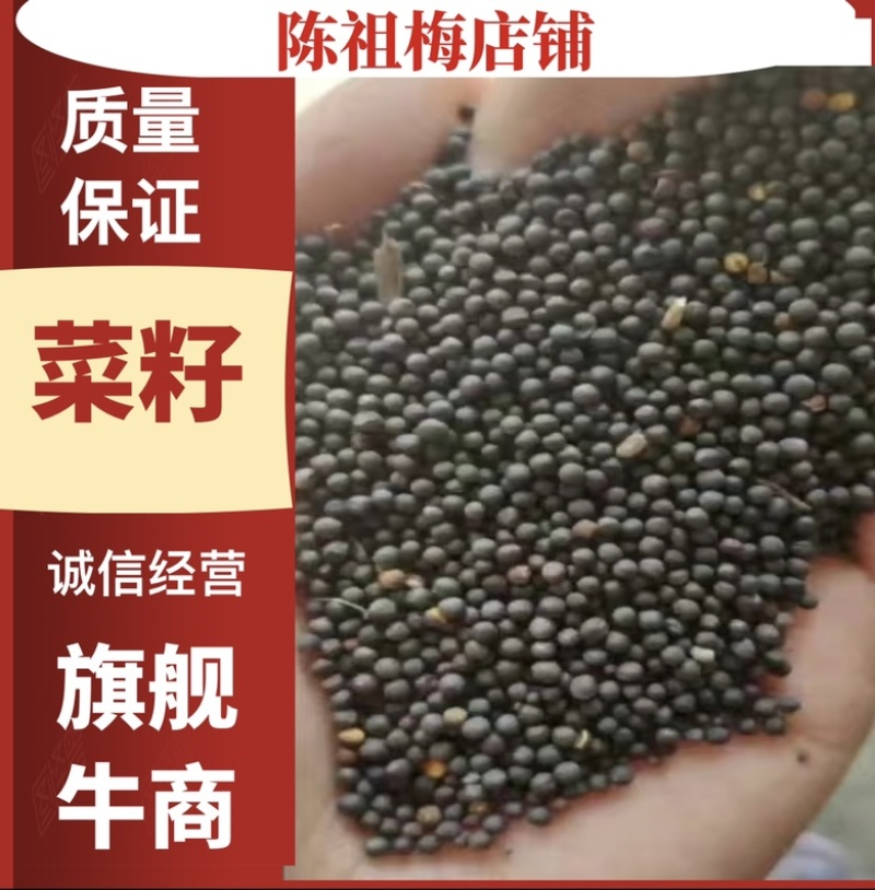 菜籽菜籽长期有货，物美价廉，产地直发。