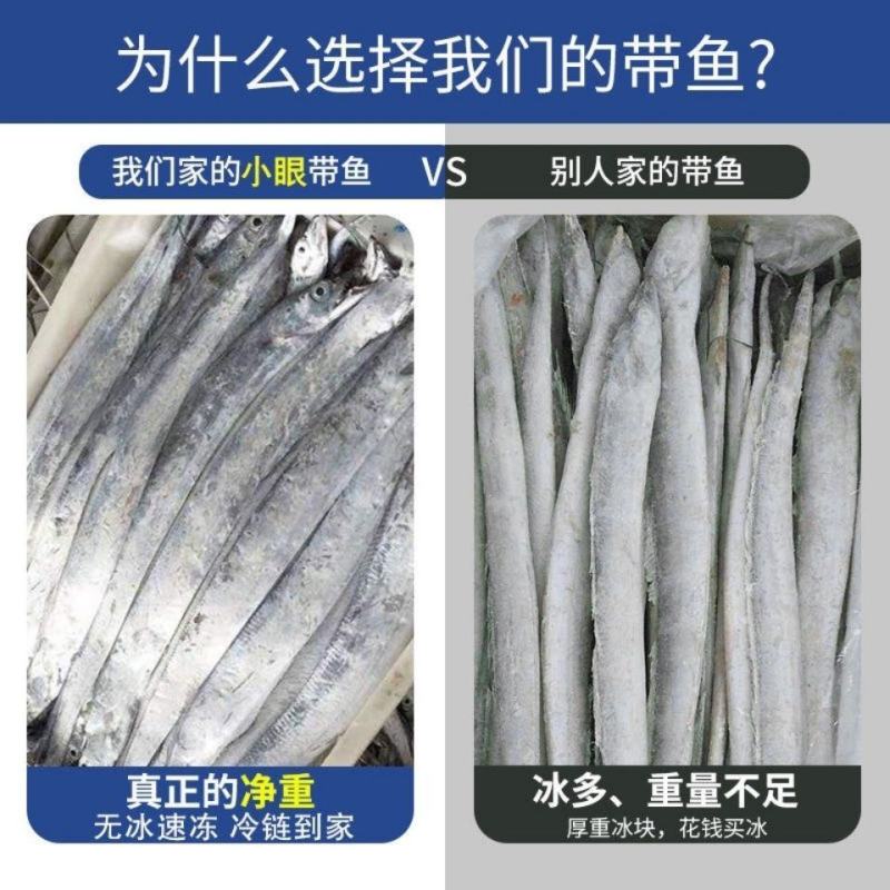 (活动价格)带鱼整条新鲜速冻码头直发净重无冰刀鱼批发整箱