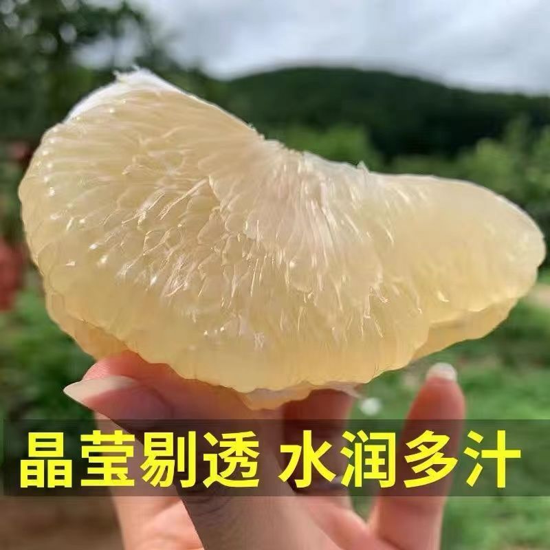 【推荐】湖北精品白心柚，柚子大量有货皮薄味甜欢迎订购