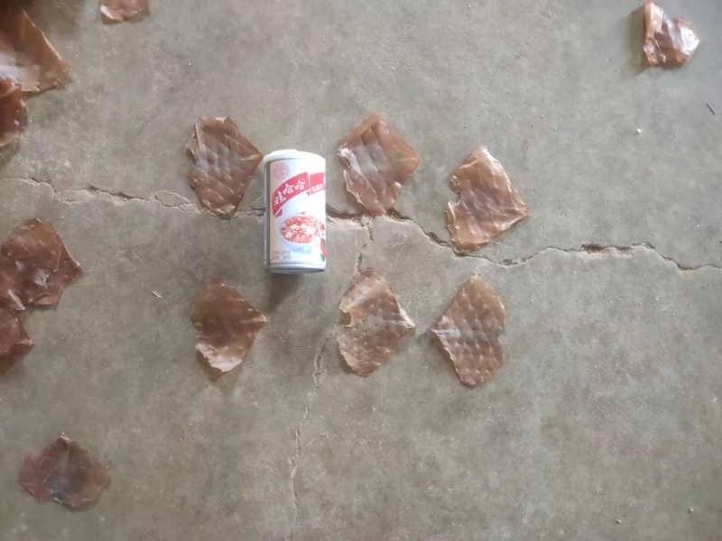 鱿鱼干，火箭鱼原料，各种现货！！！！！！！
