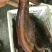 烟熏全干二刀腊肉（量大从优，厂家一手货源）