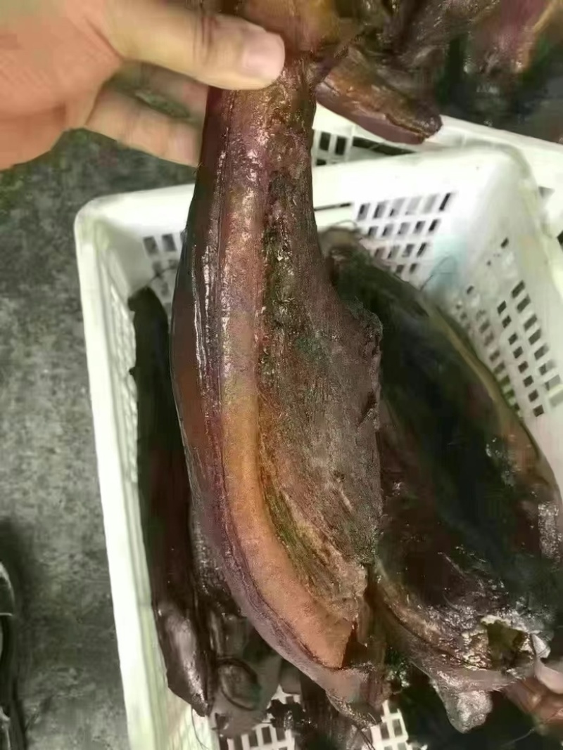 烟熏全干二刀腊肉（量大从优，厂家一手货源）