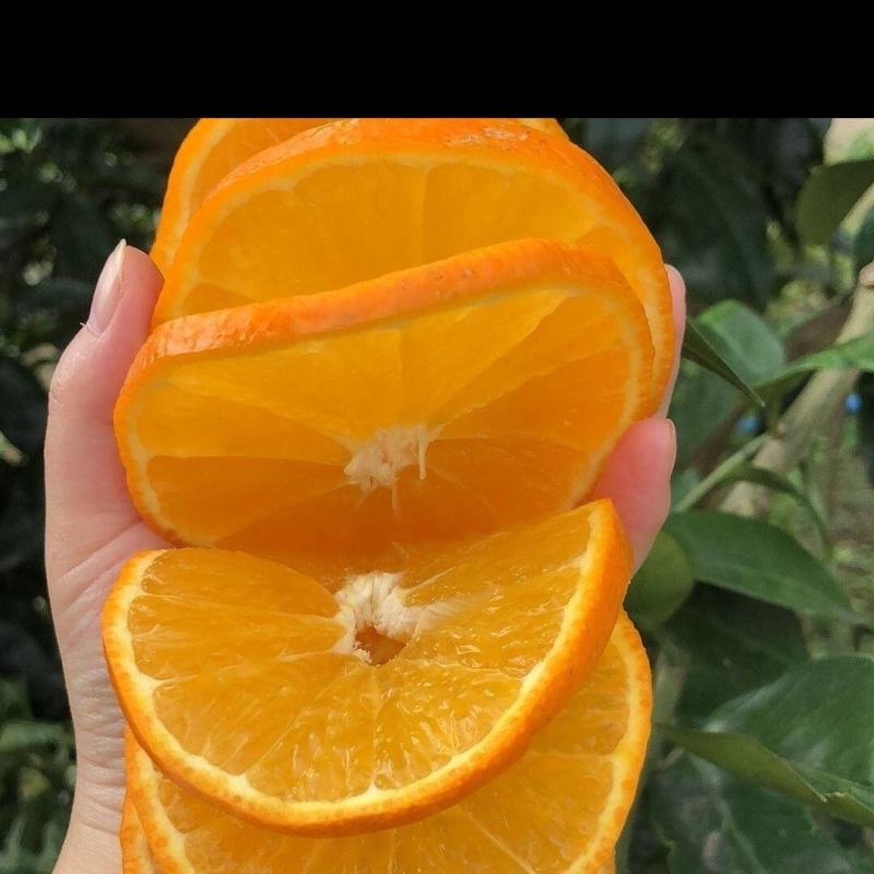 【实力】湖北精品爱媛橙大量有货酸甜可口多汁欢迎订购