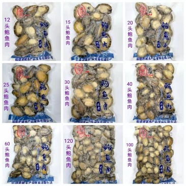 鲍鱼，九孔鲍，去肚鲍鱼肉10头到200头工厂货源大量批发