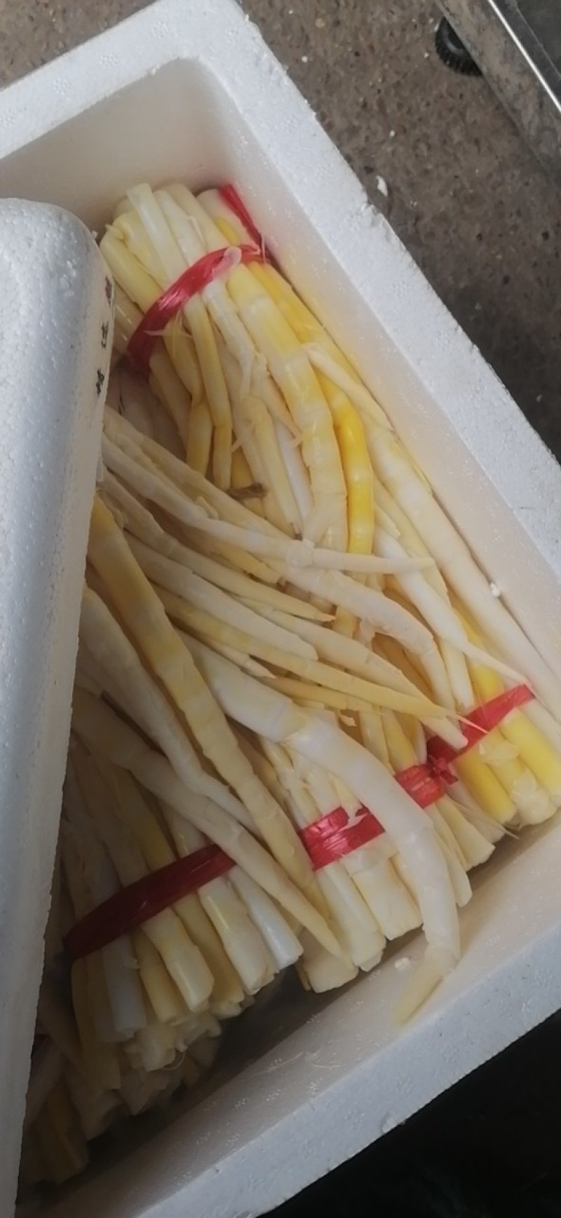 小笋子