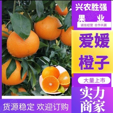 【实力】湖北精品爱媛橙大量有货酸甜可口多汁欢迎订购