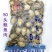 鲍鱼，九孔鲍，去肚鲍鱼肉10头到200头工厂货源大量批发