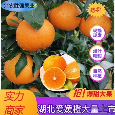 【推荐】爱媛橙现大量上市果农精心采摘，甘甜可口欢迎订购