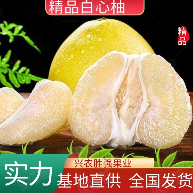 【推荐】湖北精品白心柚，柚子大量有货皮薄味甜欢迎订购