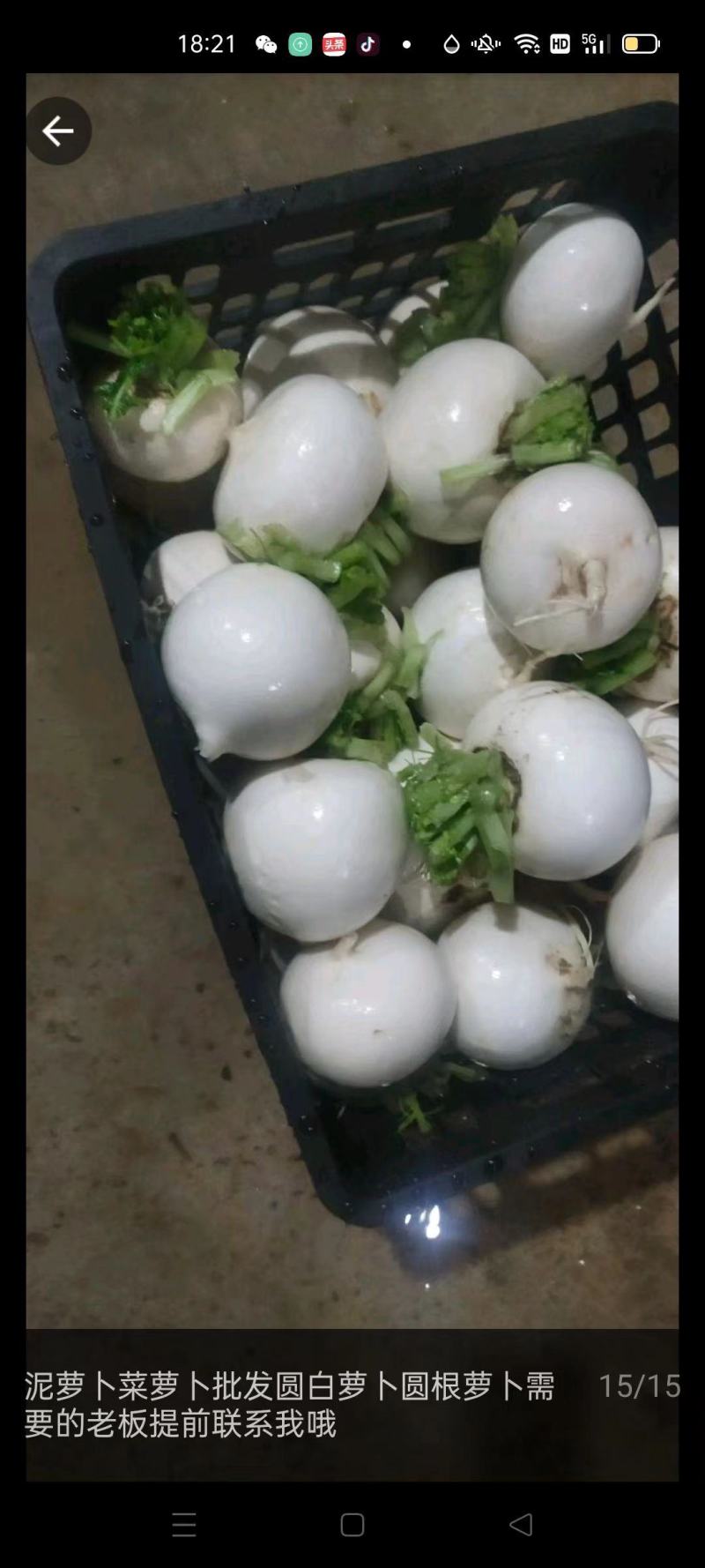 萝卜