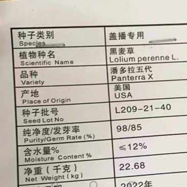 出售各种黑麦草种子