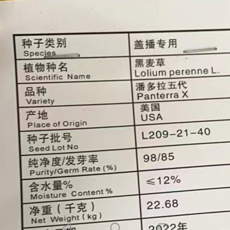 出售各种黑麦草种子