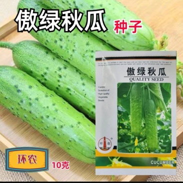 傲绿秋瓜旱黄瓜种子春秋旱黄瓜种籽四季播秋瓜耐热小黄瓜杂交
