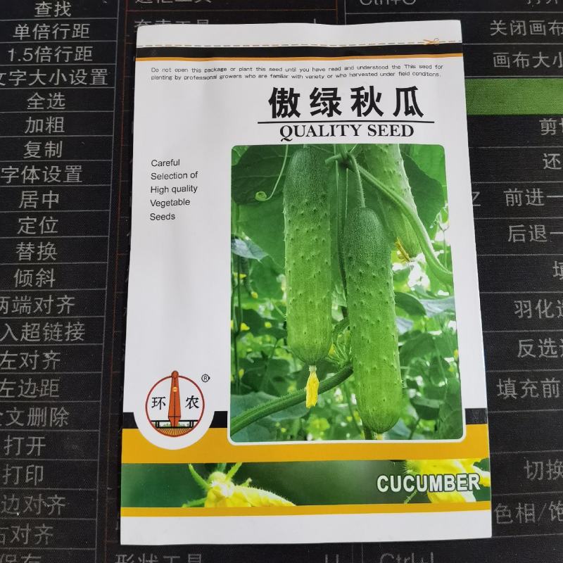 傲绿秋瓜旱黄瓜种子春秋旱黄瓜种籽四季播秋瓜耐热小黄瓜杂交