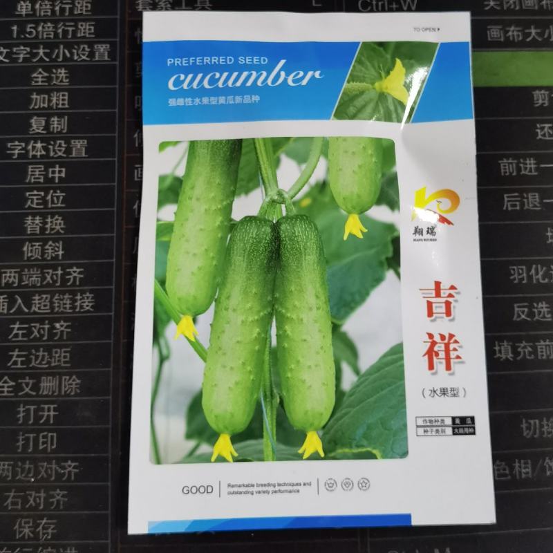 吉祥秋瓜旱黄瓜种子春秋旱黄瓜种籽四季播秋瓜耐热小黄瓜杂交