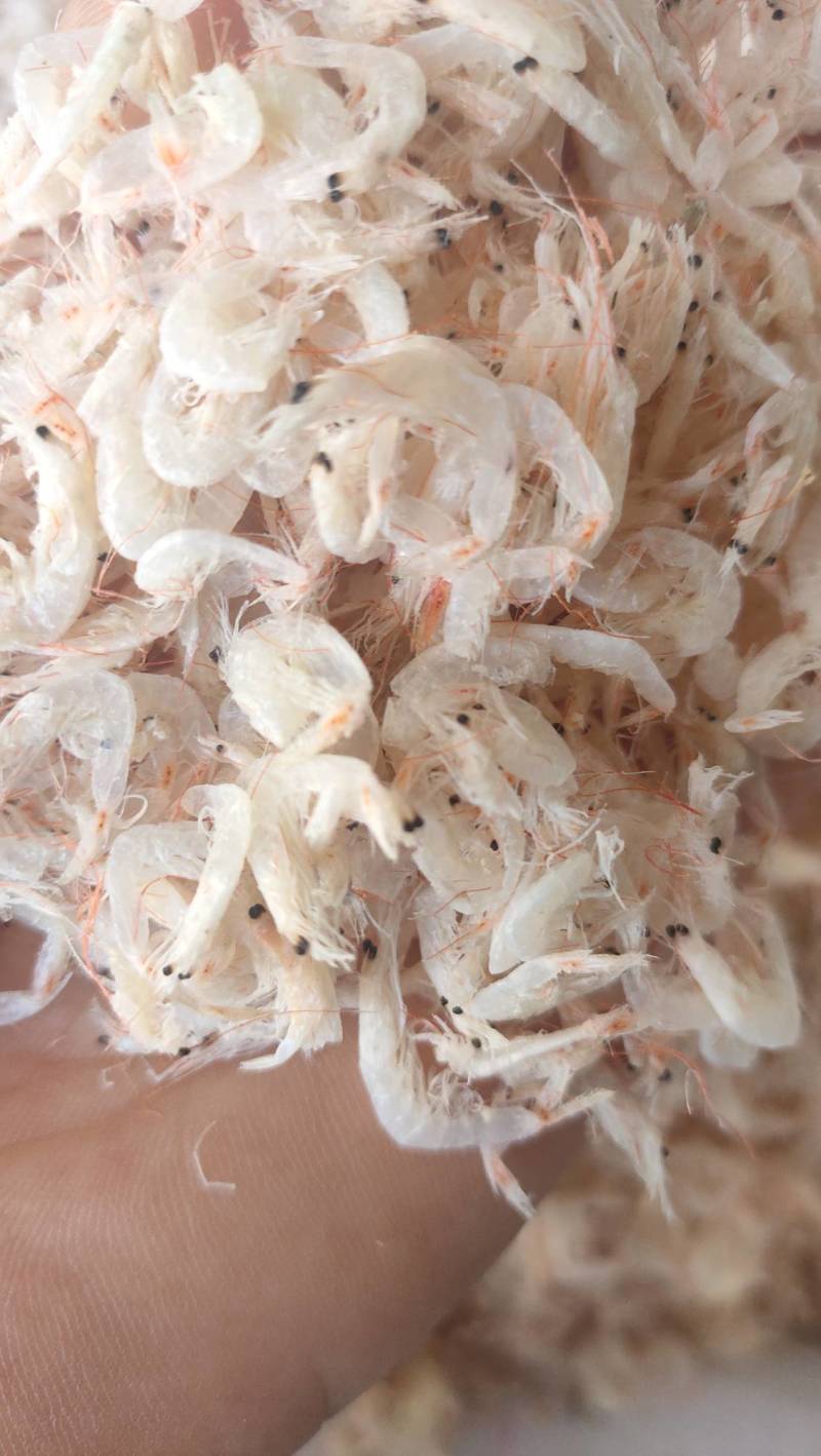渤海湾优级淡干无盐虾皮