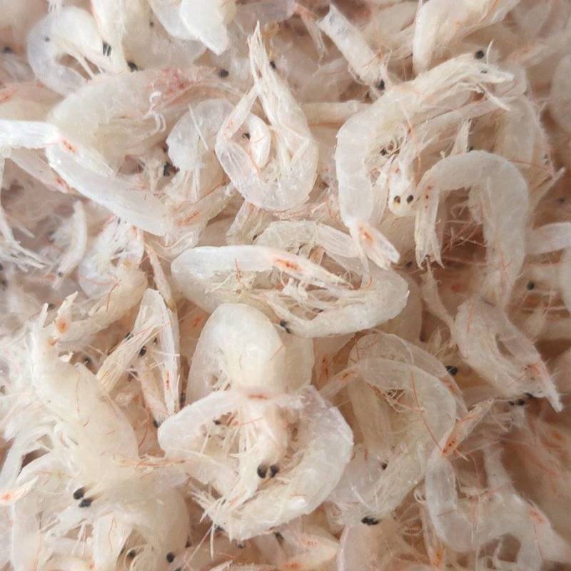 渤海湾优级淡干无盐虾皮