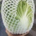 （推荐）云南本地白菜