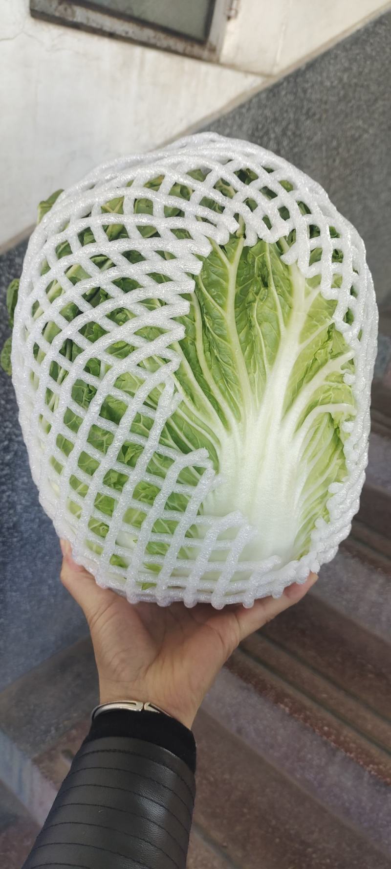 （推荐）云南本地白菜