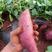 云南高原紫薯，一手货源货源充足，对接全国市场欢迎来电采购