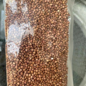 红缨子，阿奥美高粱