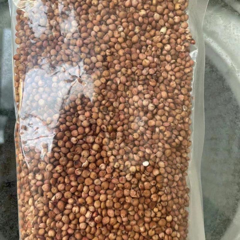 红缨子，阿奥美高粱