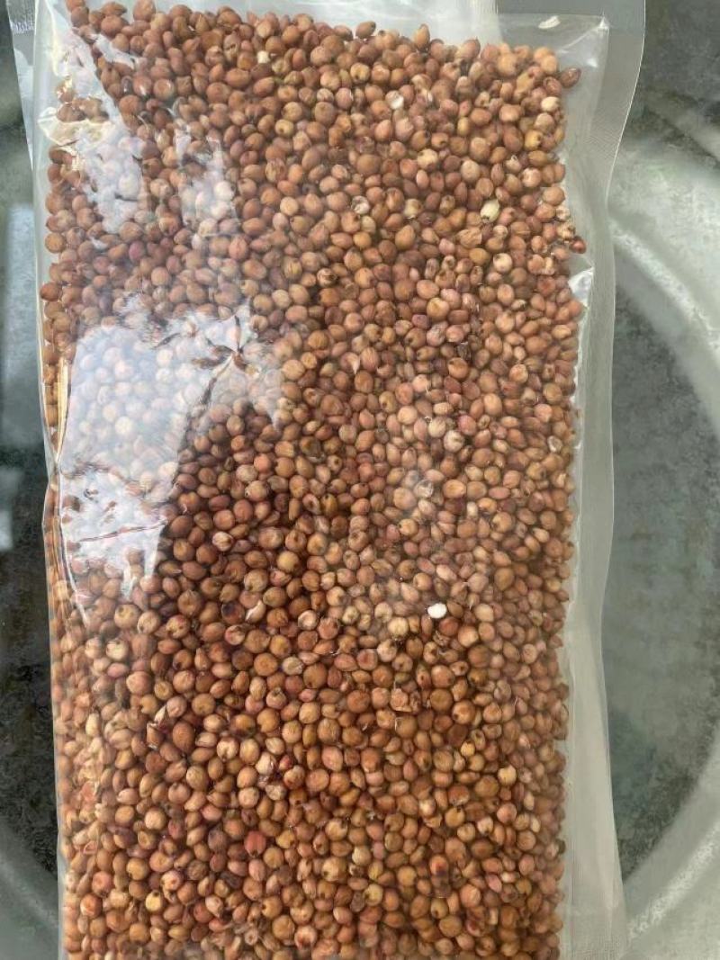 红缨子，阿奥美高粱