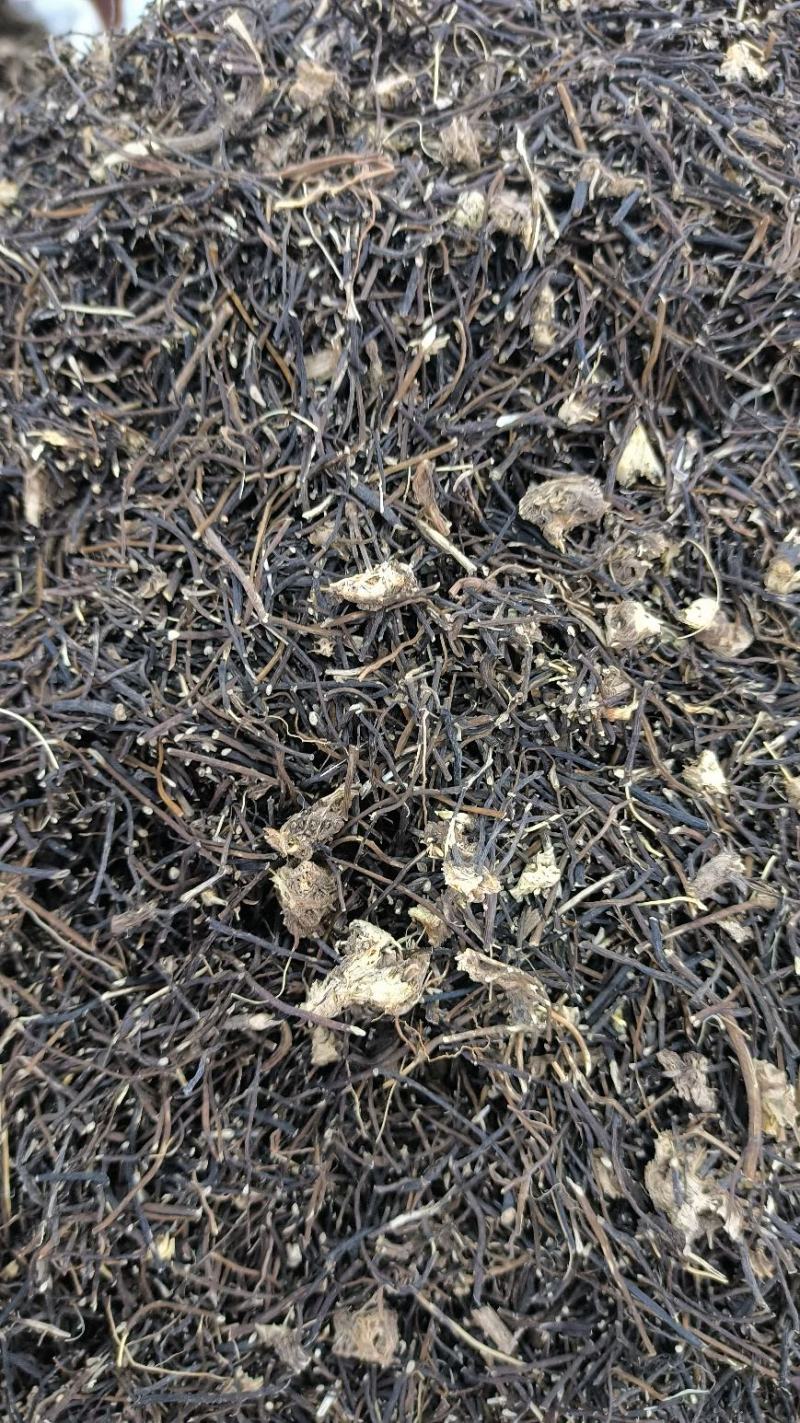 威灵仙中药材整株水洗威灵仙规格齐全威灵仙头须子