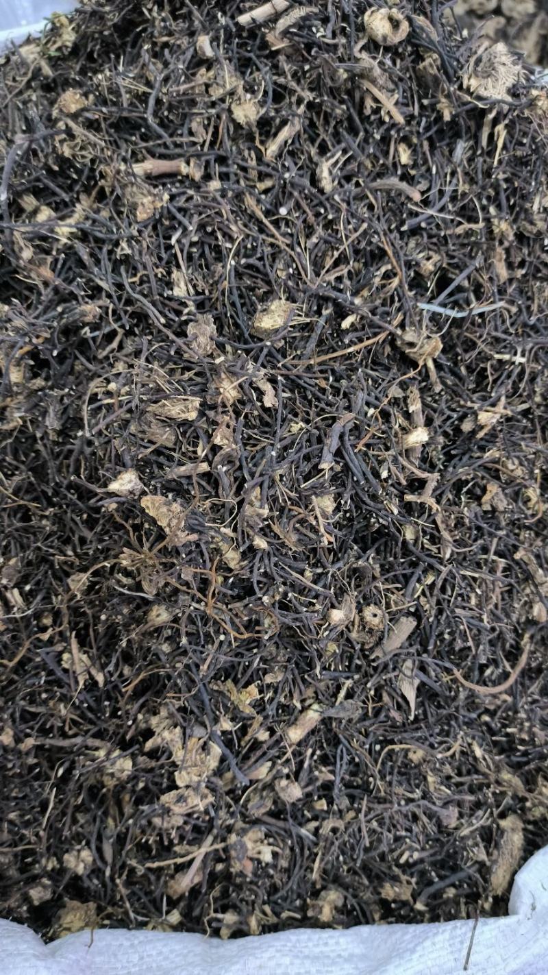威灵仙中药材整株水洗威灵仙规格齐全威灵仙头须子