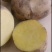 脱毒土豆种子V7，