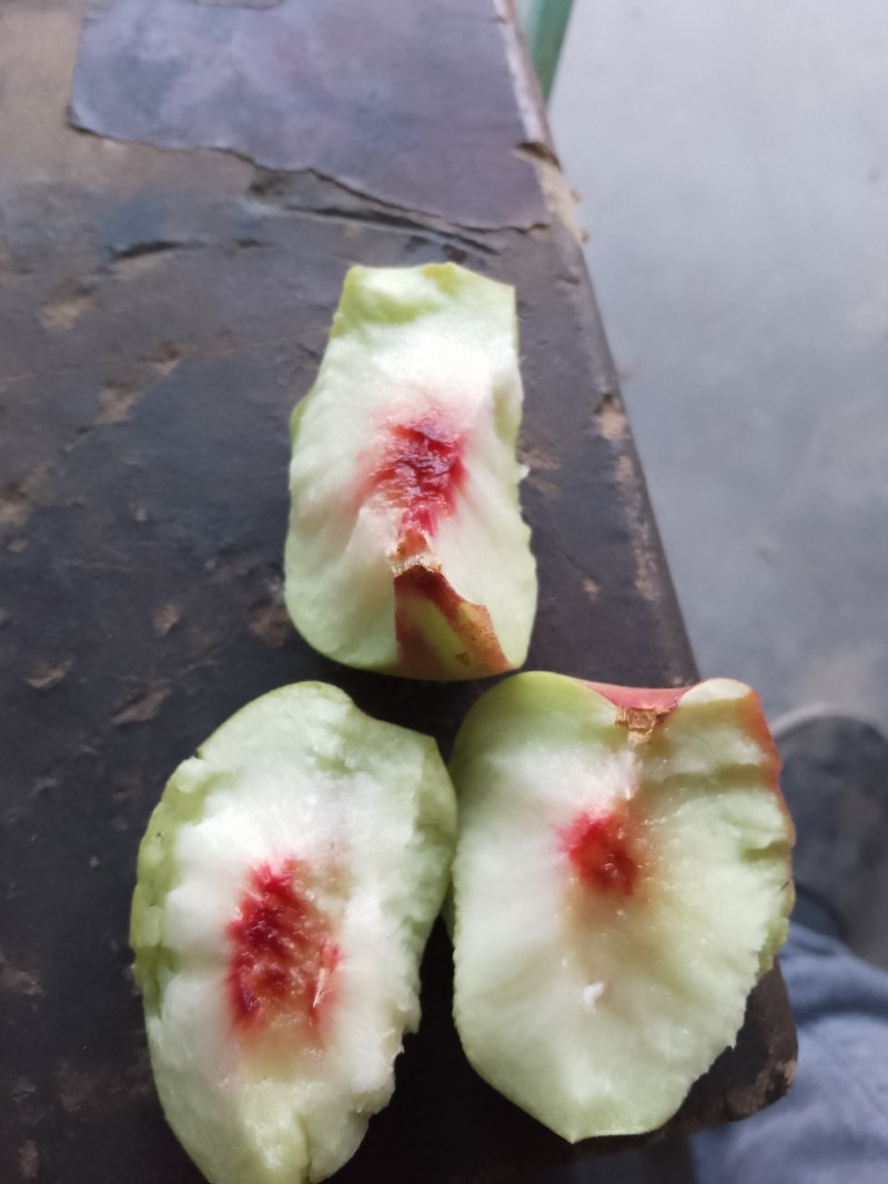 沂蒙山冬桃嘎嘣甜