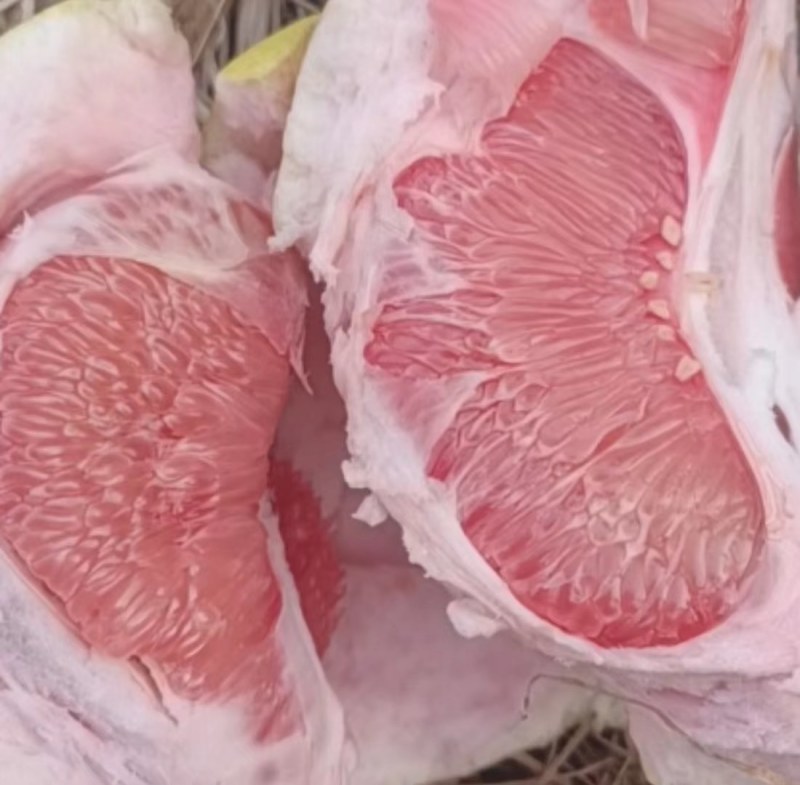 湖北枝江红心柚大量上市需要的老板可以与我联系一手货源