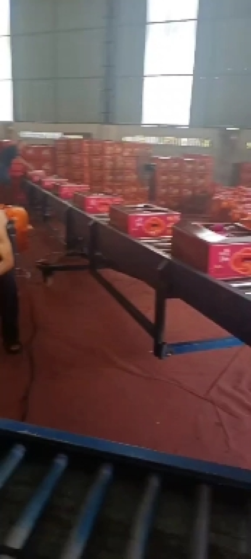 湖北枝江红心柚大量上市需要的老板可以与我联系一手货源