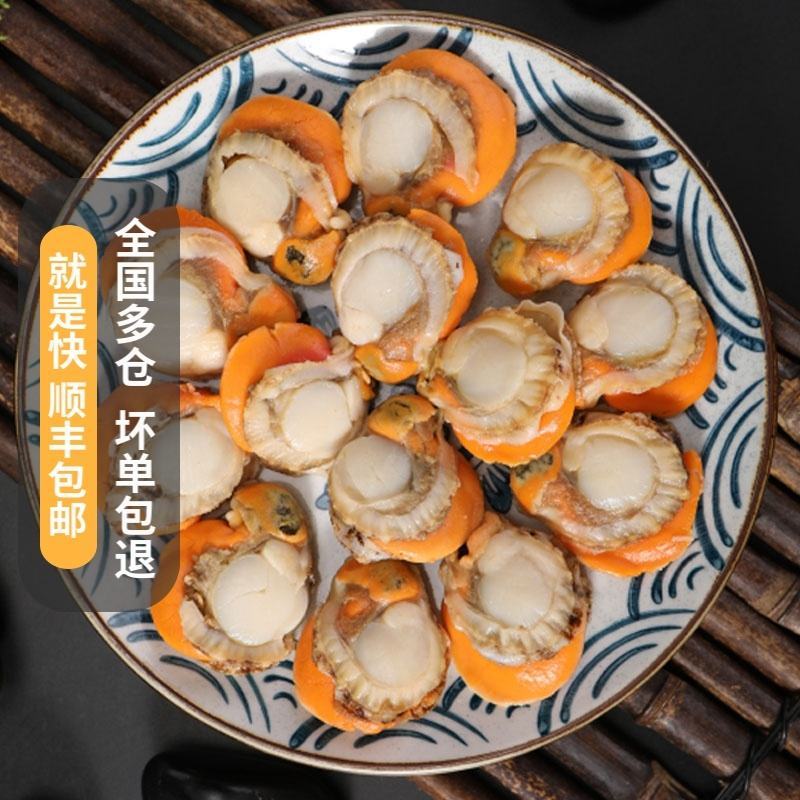 大个无冰扇贝肉