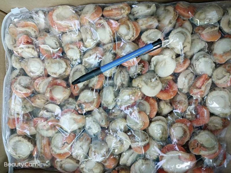 大个无冰扇贝肉