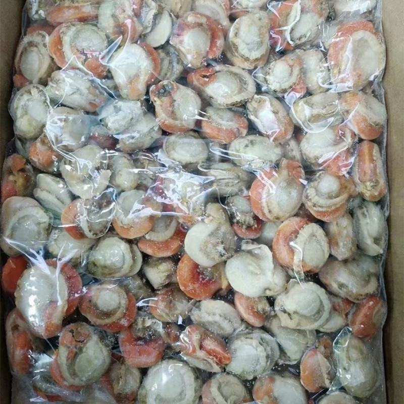 大个无冰扇贝肉