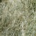 燕麦草，全绿燕麦草捆，大捆燕麦草，小捆燕麦草