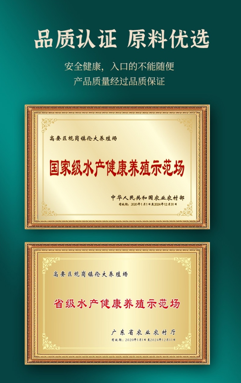 广东伦太太核桃红枣龟汤营养健康无添加独居必备