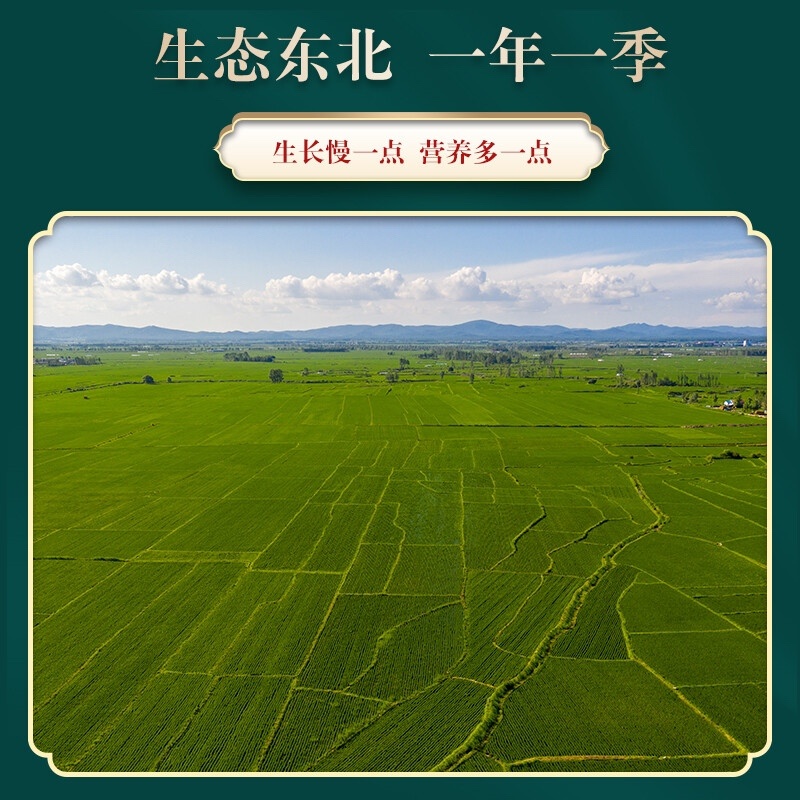 当季新米五常大米东北长粒香大米10斤量大优惠