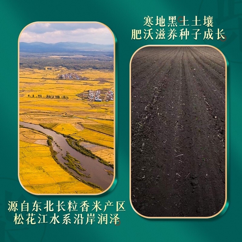 当季新米五常大米东北长粒香大米10斤量大优惠