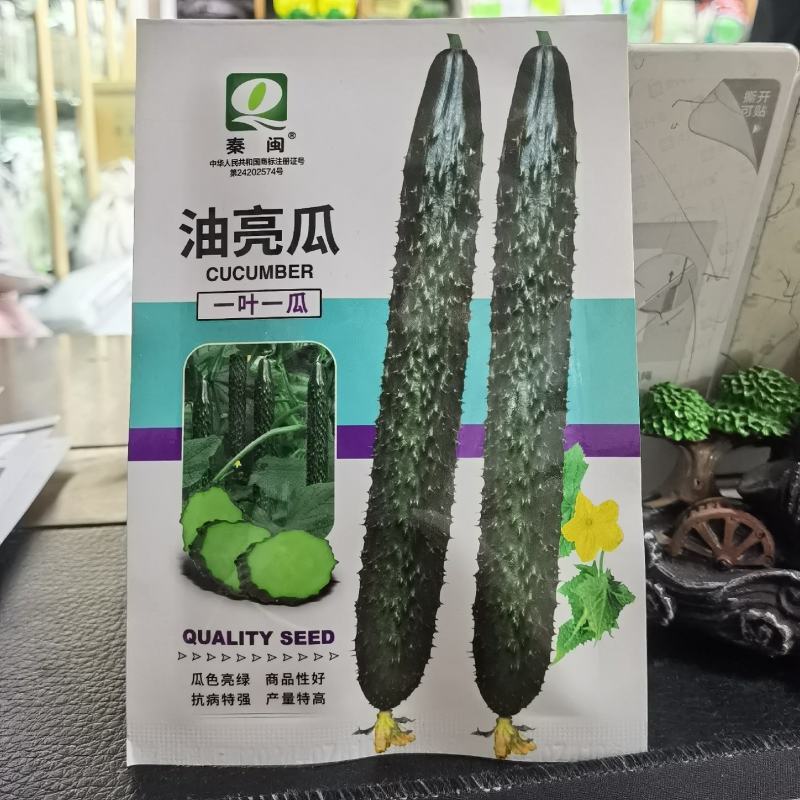 油亮瓜黄瓜种子绿芯黄瓜种籽绿心密刺青黄瓜种子四季农家蔬菜