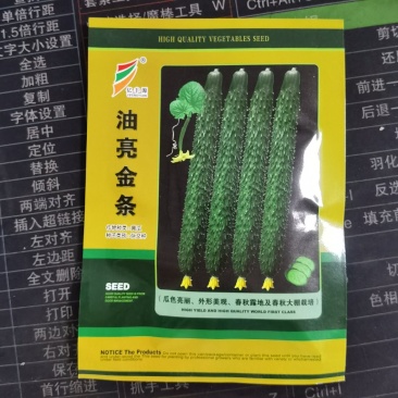 油亮金条黄瓜种子绿芯黄瓜种籽绿心密刺青黄瓜种子四季农家